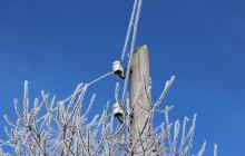 Електромережа