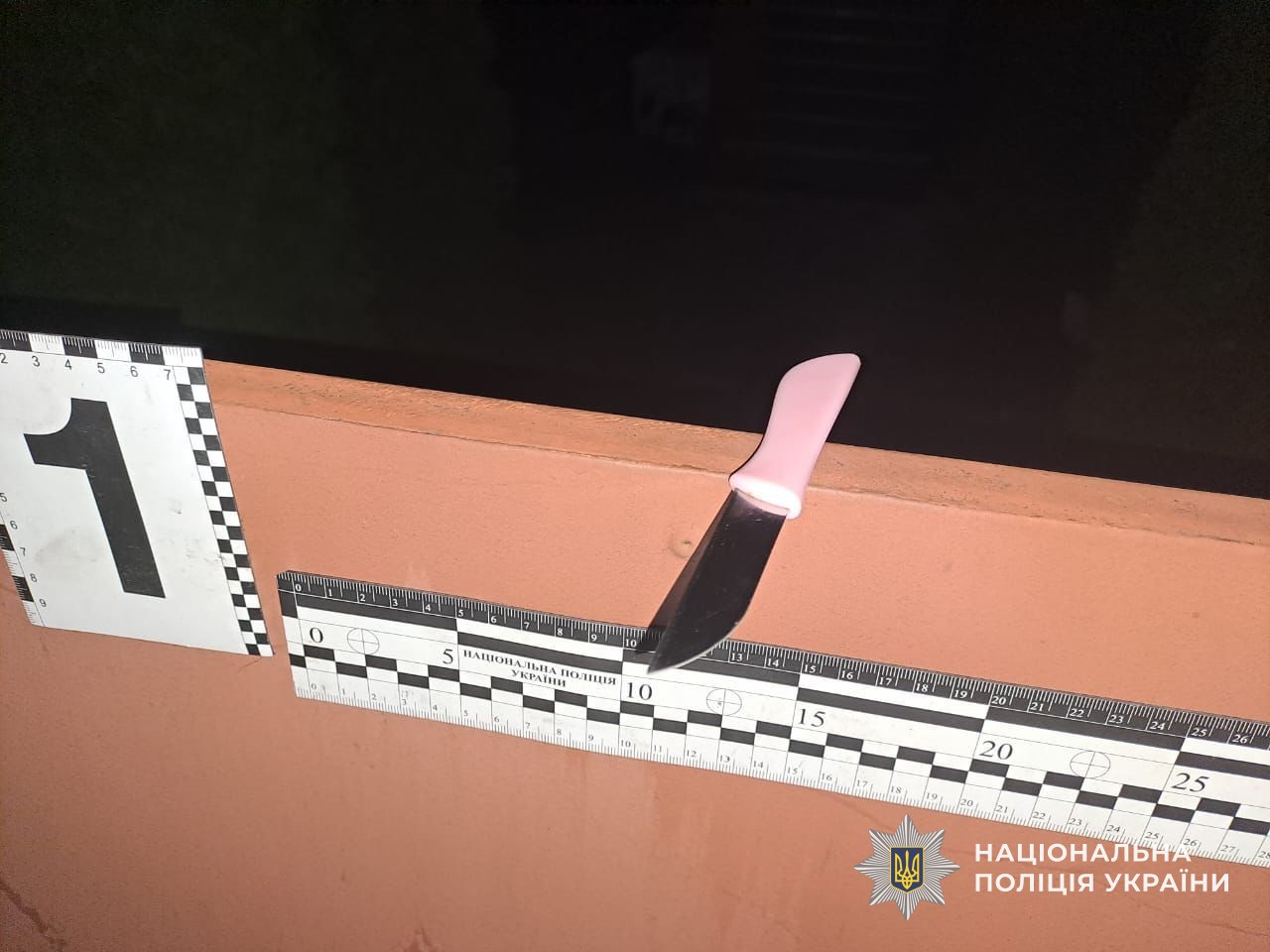 Вилучений ніж