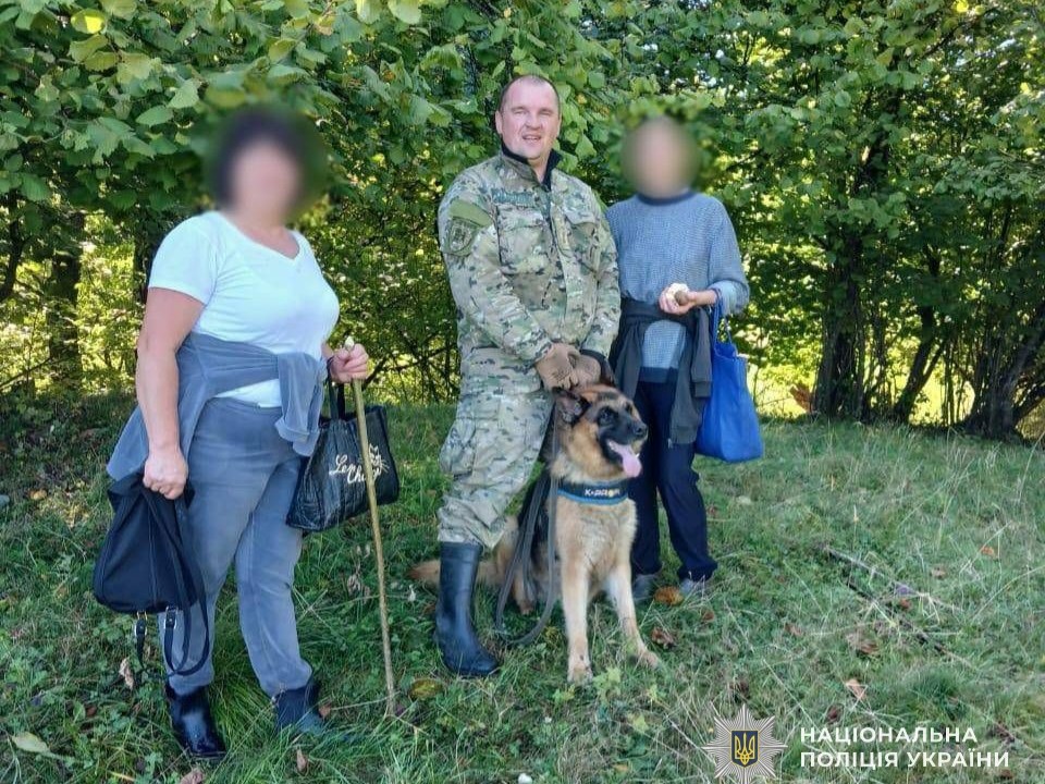 Службовий пес Тіль та заблукалі