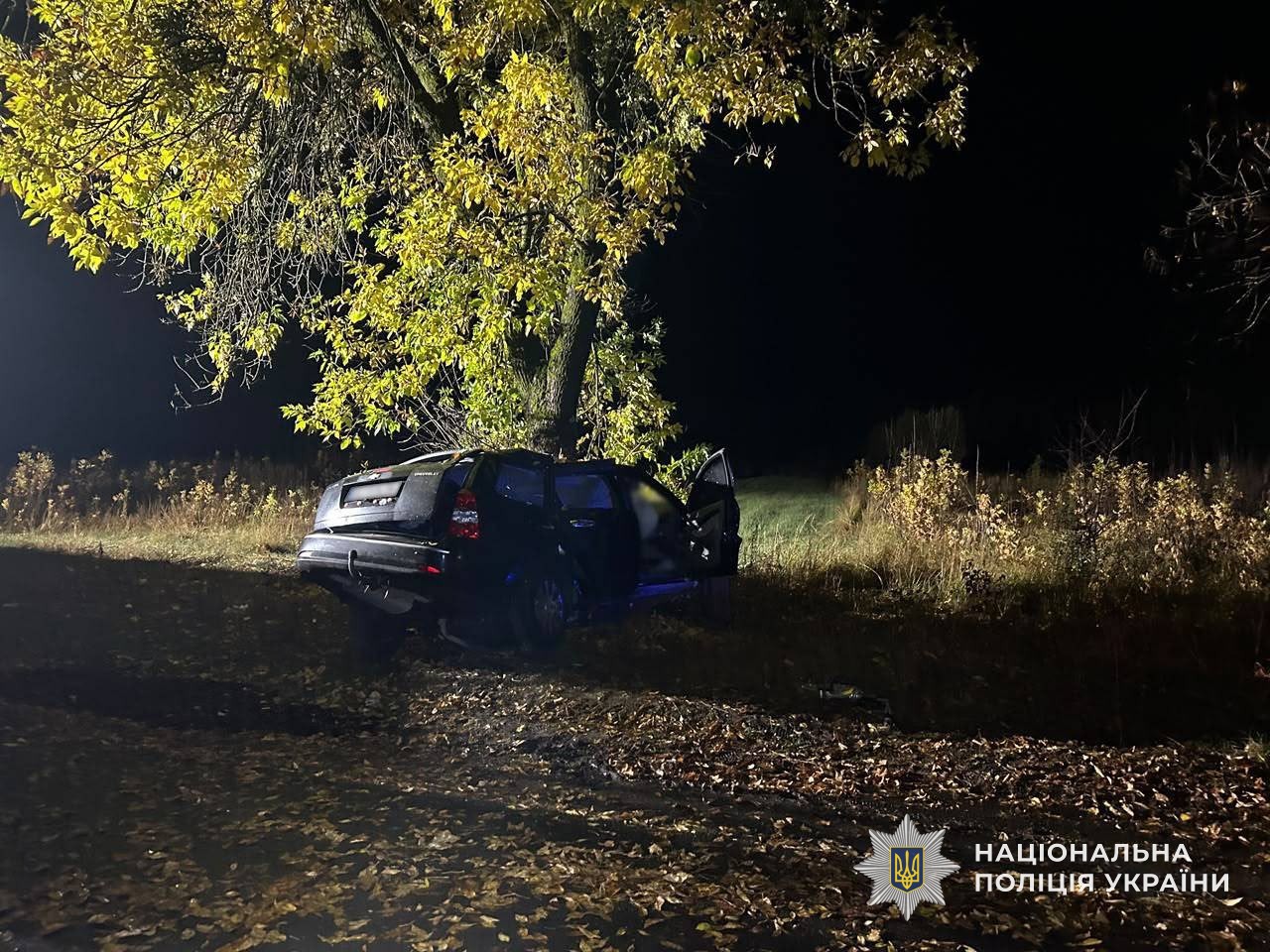 Аварія біля села Черник на Закарпатті